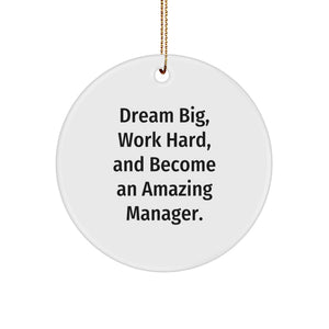 Inspirational Manager Gifts for Manager from Friends, Funny Circle Ornament for Christmas Unique Gifts, Dream Big Work Hard Circle Ornament for Manager Men - Image 1