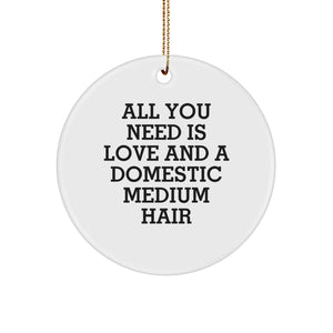 Love and Laughter Gifts for Domestic Medium Hair Cat Friends, Circle Ornament with Inspirational Quote, Perfect Christmas Memorable Present - Image 1