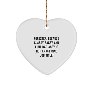 Forester Gifts, Heart Ornament, Funny Quote - Gifts from Friends, Family, or Coworkers for Men, Women, or Foresters, Christmas Unique Present - Image 1