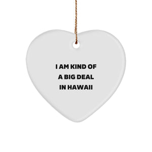 Funny Hawaii Heart Ornament Gifts from Men to Family Loving the Quote I Am Kind Of A Prime Selection In Hawaii - Image 1