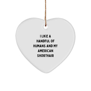 Funny American Shorthair Cat Gifts for Men - Heart Ornament - Christmas Unique Gifts from Friends - I Like A Handful Of Humans And My American Shorthair - Image 1
