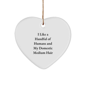 Unique Domestic Medium Hair Cat Heart Ornament Gifts from Friends & Family - Funny 'I Like A Handful Of Humans And My Domestic Medium Hair' Quote, Christmas Unique - Image 1