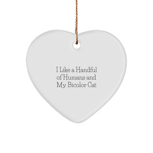 Gifts from Men for Bicolor Cat Lovers, Funny Heart Ornament, Christmas Unique Gifts - Image 1