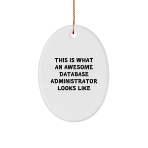 This Is What An Awesome Database Administrator Looks Like, Oval Ornament Gifts for Database Administrators, Christmas Unique Gifts from Friends and Family - Image 1