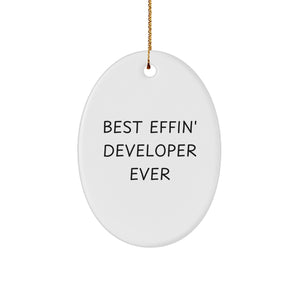Funny Developer Gifts Christmas Oval Ornament Gifts for Developer from Friends - Image 1