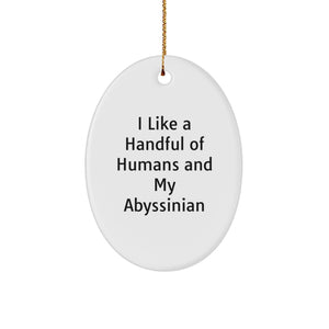 Abyssinian Cat Lover Gifts from Men, Funny Oval Ornament for Friends, Christmas Unique Gifts for Women, 'I Like A Handful Of Humans And My Abyssinian' - Image 1