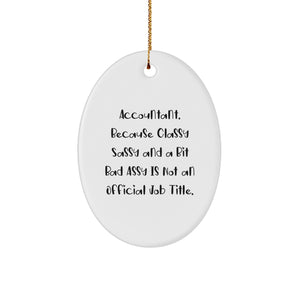 Funny Accountant Oval Ornament, Christmas Unique Gifts for Accountants from Friends, Coworkers, or Family - Image 1