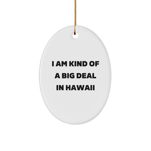 Funny Oval Ornament Gifts from Friends to Family in Hawaii 'I Am Kind Of A Prime Selection In Hawaii' Christmas Unique Gifts - Image 1