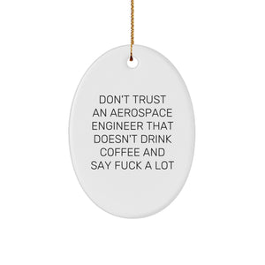 Funny Gifts from Friends and Family for Aerospace Engineer Don't Trust An - Oval Ornament, 3.25 - Image 1
