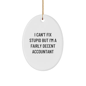 Funny Accountant Gifts Oval Ornament I Can't Fix Stupid But I'm A Fairly Decent Accountant for Christmas Unique Gifts from Friends, Family, Coworkers, and Men to Women, Accountants - Image 1
