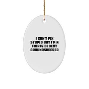 Funny groundskeeper Gifts from Friends for groundskeeper Oval Ornament, I Can't Fix Stupid But I'm A Fairly Decent groundskeeper Christmas - Image 1