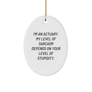 Funny Actuary Gifts for Men - Oval Ornament - 'I'm An Actuary, My Level Of Sarcasm Depends On Your Level Of Stupidity' | Christmas Unique Presents from Friends, Family, Coworkers - Image 1