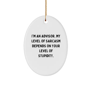 Funny Advisor Oval Ornament Gifts from Friends, Funny Advisor Oval Ornament for Christmas Unique Gifts, Oval Ornament Gifts for Advisor - Image 1