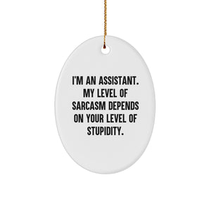 Funny Assistant Gifts from Friends to Coworkers - Oval Ornament with Sassy Quote - Christmas Unique Gifts - Image 1