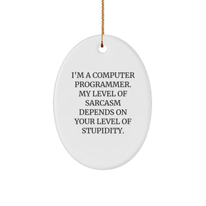 Funny Computer Programmer Gifts, Oval Ornament, 'Stupidity' Sarcasm Quote, Christmas Unique for Him, Computer Programmer Office Decor, Computer Programmer Humor - Image 1