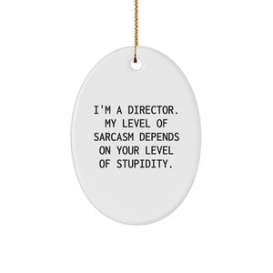 Funny Director Oval Ornament Gifts from Men for Director Friends and Family Christmas Unique Holiday Decorations - Image 1