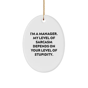 Funny Manager Gifts for Christmas - Oval Ornament with Sassy Quote, 'I'm A Manager. My Level Of Sarcasm Depends On Your Level Of Stupidity.' - Gifts from Men to Women Coworkers - Image 1
