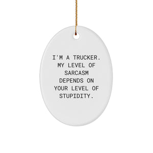 Funny Trucker Oval Ornament Gifts from Friends Christmas Unique Gifts for Trucker, Men, Women, Coworkers, Family, Sarcasm Level Decor - Image 1