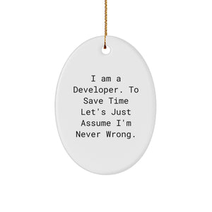 Funny Developer Oval Ornament Gifts from Friends for Men, Gifts for Christmas Unique Decorations - Image 1