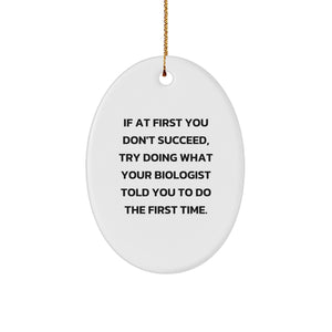 Funny Biologist Gifts from Friends for Christmas - Oval Ornament with 'If At First You Don't Succeed' Quote, Perfect for Biologist Men and Women - Image 1
