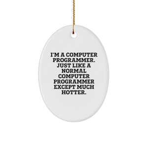 Funny Computer Programmer Gifts from Friends - I'm A Computer Programmer Oval Ornament for Christmas - Image 1