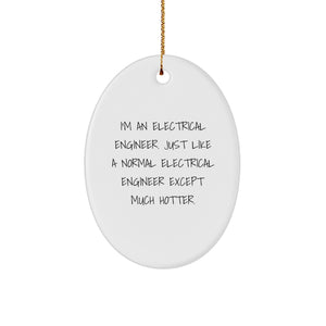 Electrical Engineer Gifts Funny Oval Ornament 'I'm An Electrical Engineer' Christmas Decorations from Friends - Image 1