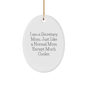 Funny Secretary Mom Oval Ornament Gifts from Men Women Coworkers Friends Family - Image 1