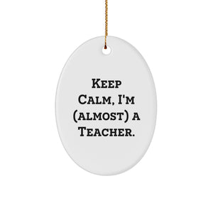Funny Teacher Oval Ornament Gifts from Family for Christmas Unique - Image 1