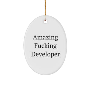Funny Developer Gifts from Friends, Oval Ornament for Men at Christmas Unique Gifts - Image 1