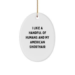 American Shorthair Cat Oval Ornament Funny Quote Gifts for Friends Christmas - Image 1