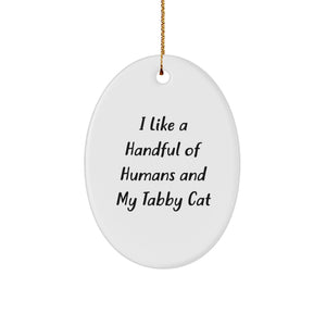Funny Tabby Cat Oval Ornament Gifts from Men, Women, or Friends for Tabby Cat Lovers during Christmas Unique Season - Image 1