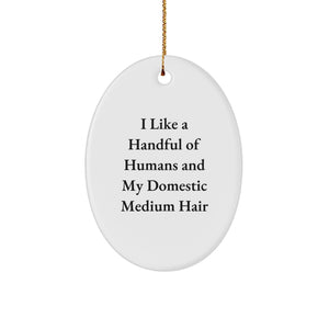 Domestic Medium Hair Cat Christmas Oval Ornament, Funny Quote - Gifts from Family to Friends, Perfect for Domestic Medium Hair Cat Lovers - Image 1
