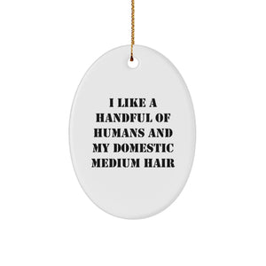 Funny Domestic Medium Hair Oval Ornament Gifts from Men for Women, Christmas Unique Gifts for Domestic Medium Hair Enthusiasts, Oval Ornament Decoration - Image 1