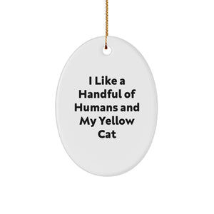 Yellow Cat Oval Ornament Funny Quote Gifts from Friends for Christmas - Image 1