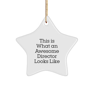 Funny Director Star Ornament Gifts from Men to Director, This Is What An Awesome Director Looks Like, Christmas Unique - Image 1
