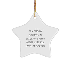 Funny Physician Assistant Gifts, Star Ornament for PA, Christmas Unique Gifts from Friends, Gifts for Physician Assistant, PA Sarcasm - Image 1