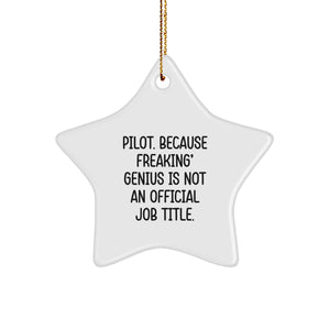 Pilot Gifts from Friends and Family - Funny Star Ornament, 'Pilot. Because Freaking' genius Is Not An Official Job Title.' for Christmas - Image 1