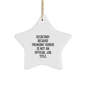 Funny Secretary Star Ornament Gifts from Friends and Family, 'Secretary. Because Freaking' genius Is Not An Official Job Title.' for Christmas - Image 1