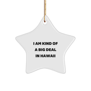 Funny Hawaii Star Ornament Gifts from Men to Friends, Unique Christmas Decorations for Hawaii Lovers, I'm Kind Of A Prime Selection In Hawaii Star Shaped MDF Decor - Image 1