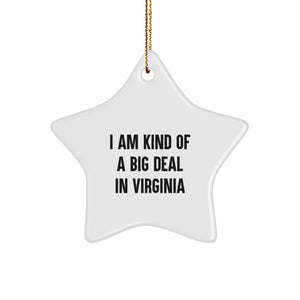 I Am Kind Of A Prime Selection In Virginia Star Ornament Gifts for Friends and Family from Virginia Gifts - Image 1