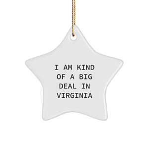 I Am Kind of a Prime Selection in Virginia Star Ornament, Gifts from Friends to Family, Unique Christmas Decorations - Image 1