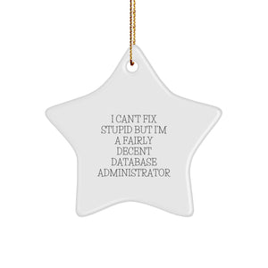 Database Administrator Gifts, Funny Star Ornament, 'I Can't Fix Stupid But I'm A Fairly Decent Database Administrator' Quote, Christmas Unique Gifts from Friends - Image 1