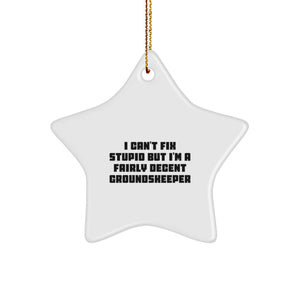 Funny groundskeeper Gifts for Men, Star Ornament with I Can't Fix Stupid But I'm A Fairly Decent groundskeeper Quote, Christmas Unique Gifts from Friends - Image 1