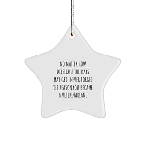 Inspiring Veterinarian Star Ornament, Gifts from Friends to Family, Christmas Unique Gifts for Men and Women, 'No Matter How Difficult The Days May Get' - Image 1