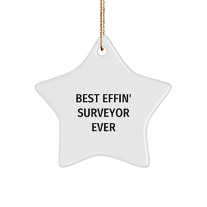 Funny Star Ornament Gifts from Men to Best Effin' Surveyor Ever, Perfect for Christmas Unique Gifts - Image 1