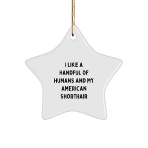 American Shorthair Cat Gifts for Men - Funny Star Ornament with I Like A Handful Of Humans And My American Shorthair Quote, Christmas Unique Gifts from Family - Image 1