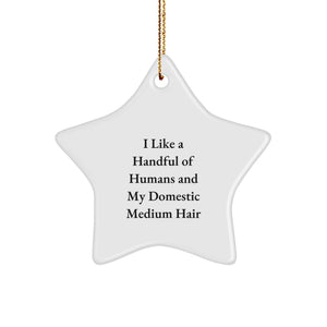 Gifts from Family to Domestic Medium Hair Cat, Funny Quotes Star Ornament for Christmas Unique Gifts, White Star Shaped Decoration - Image 1