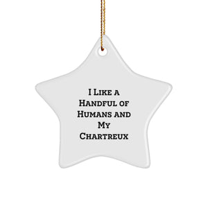Funny Chartreux Cat Star Ornament Gifts for Men or Women from Family - Image 1