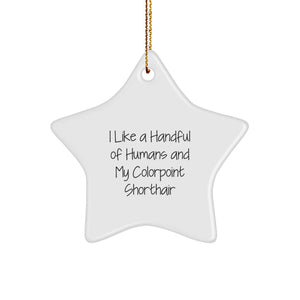Colorpoint Shorthair Cat Christmas Star Ornament Funny Quote Gifts from Friends and Family - Image 1