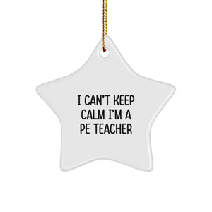 Funny I Can't Keep Calm I'm A PE Teacher Star Ornament Gift for PE Teachers, Christmas Unique Presents from Friends to Family, Star Shaped Decorations - Image 1